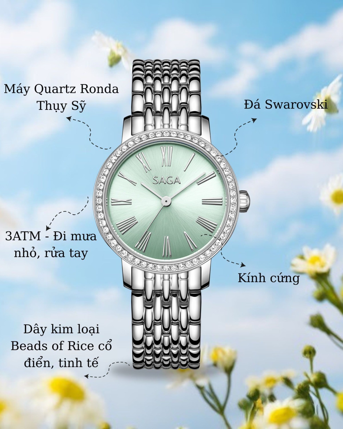 Tại sao nên sở hữu một em Saga Stella Chance