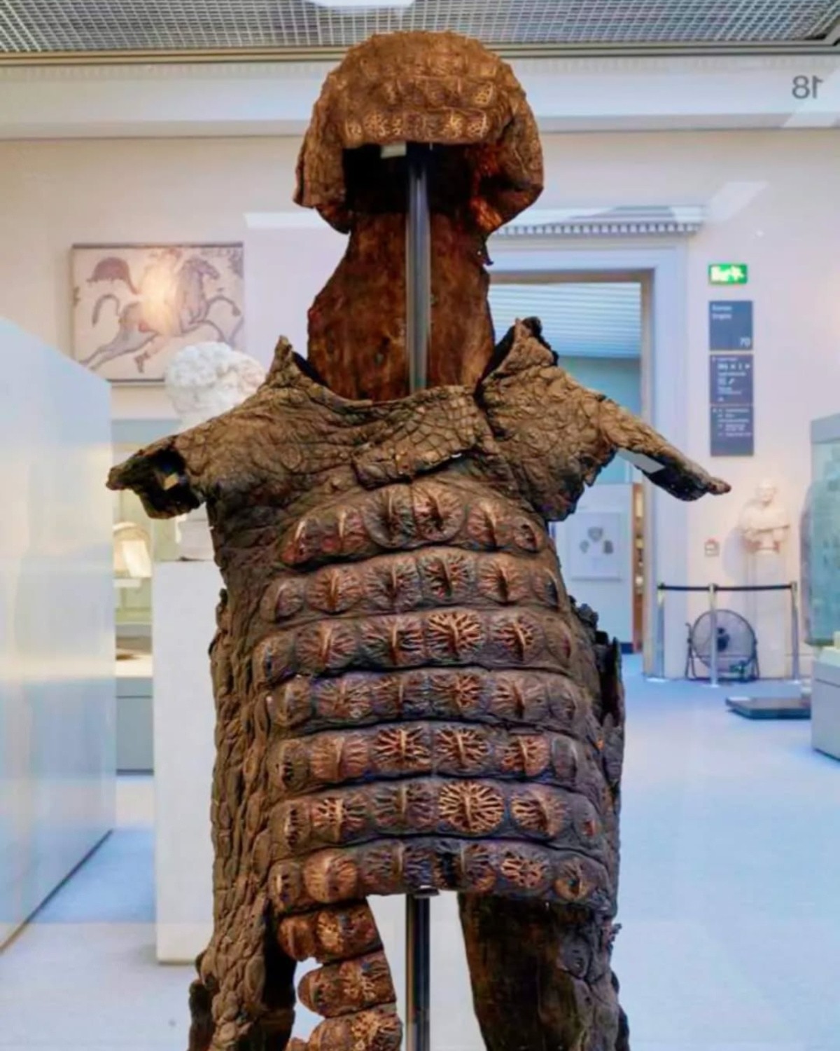 Áo giáp làm từ da cá sấu tại Bảo tàng Anh