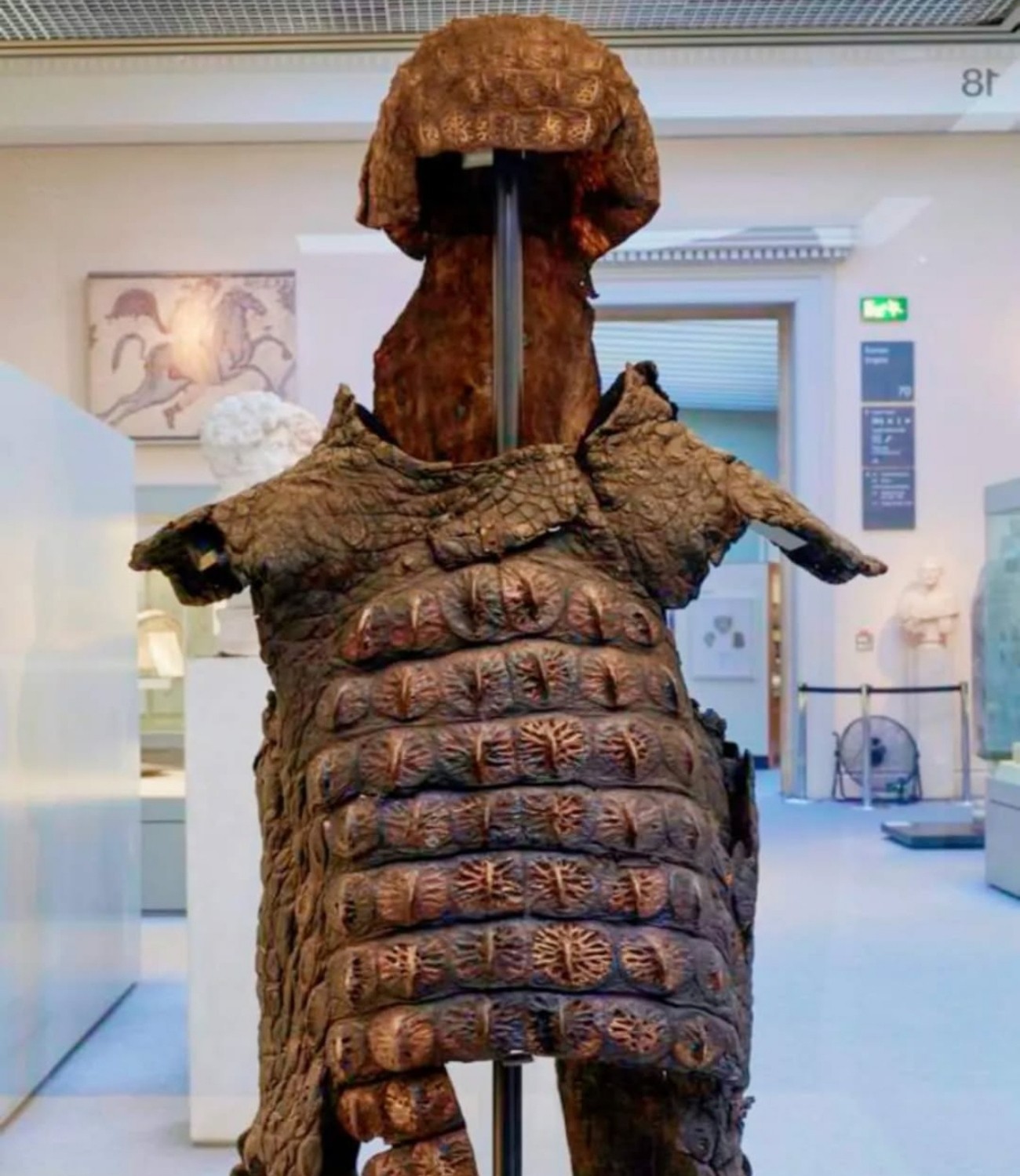 Áo giáp làm từ da cá sấu tại Bảo tàng Anh